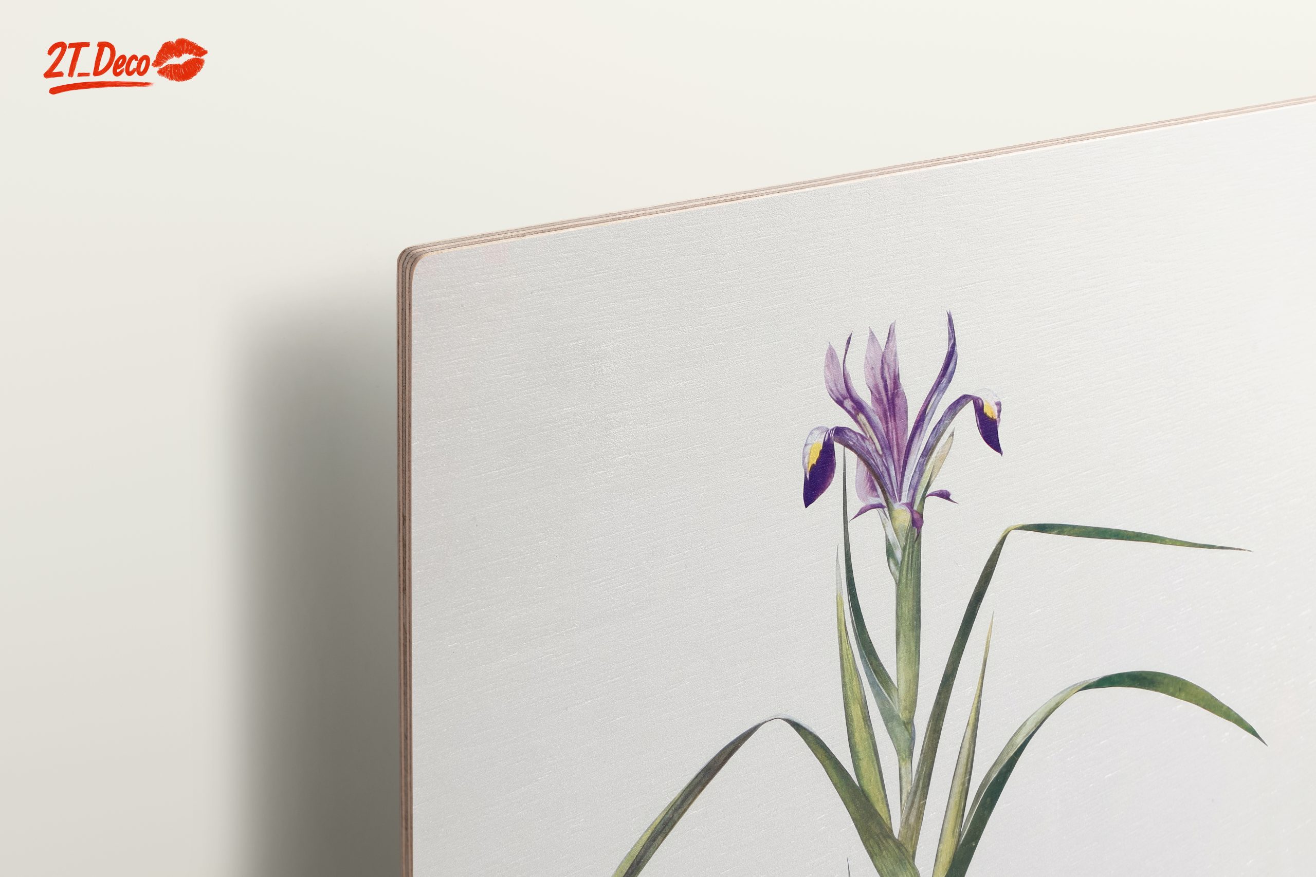 Elegant Iris Botanical Art for Home Decor - Image 15