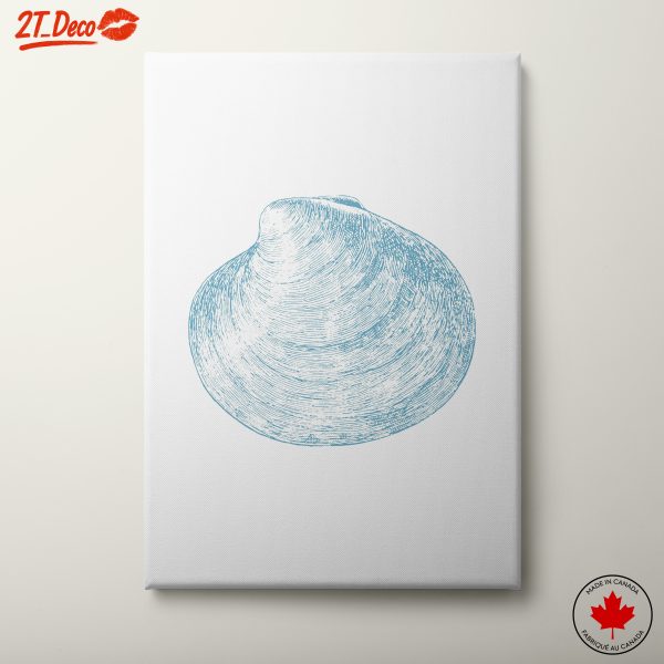 Stylized Abstract Sea Shell Art