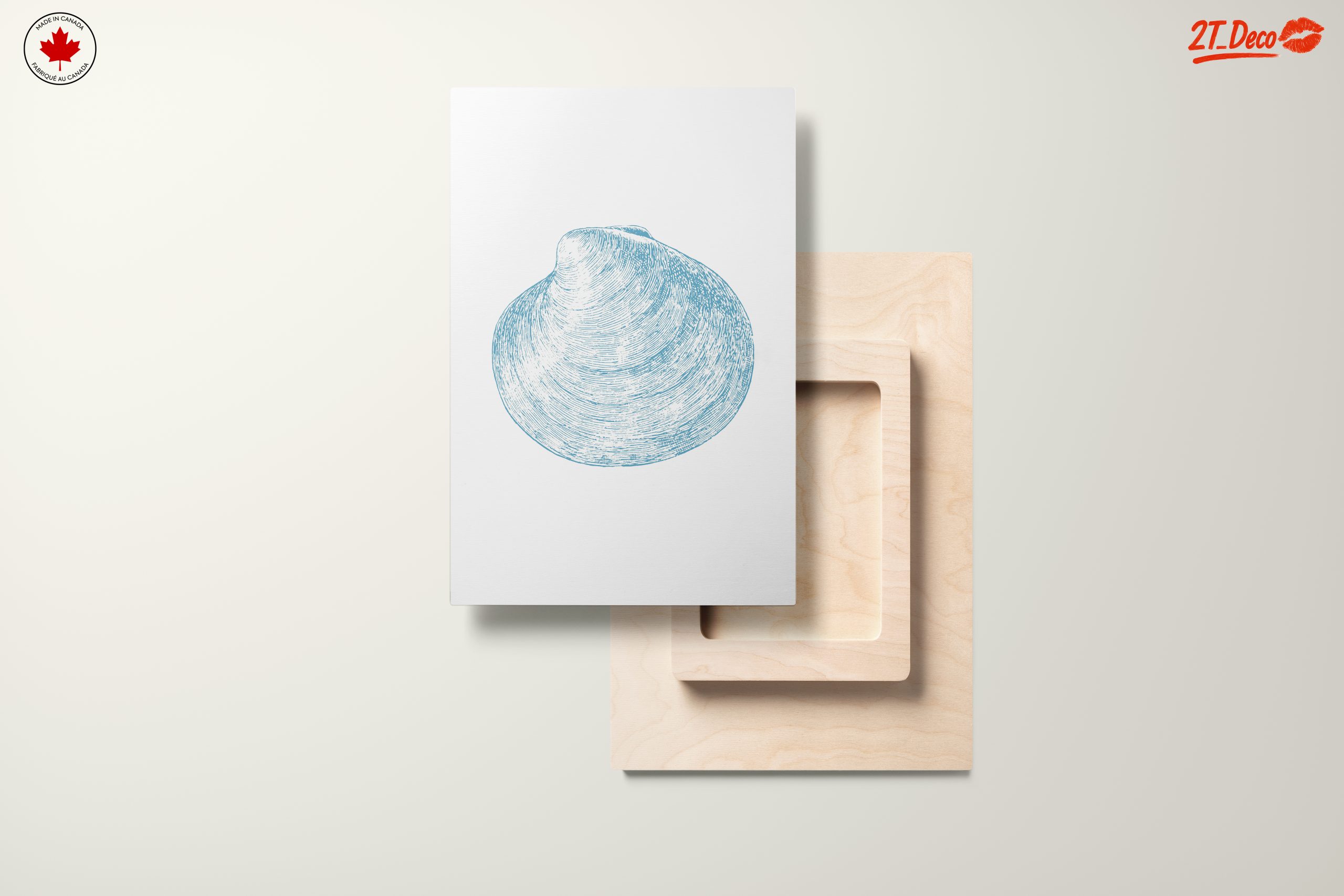 Stylized Abstract Sea Shell Art - Image 11