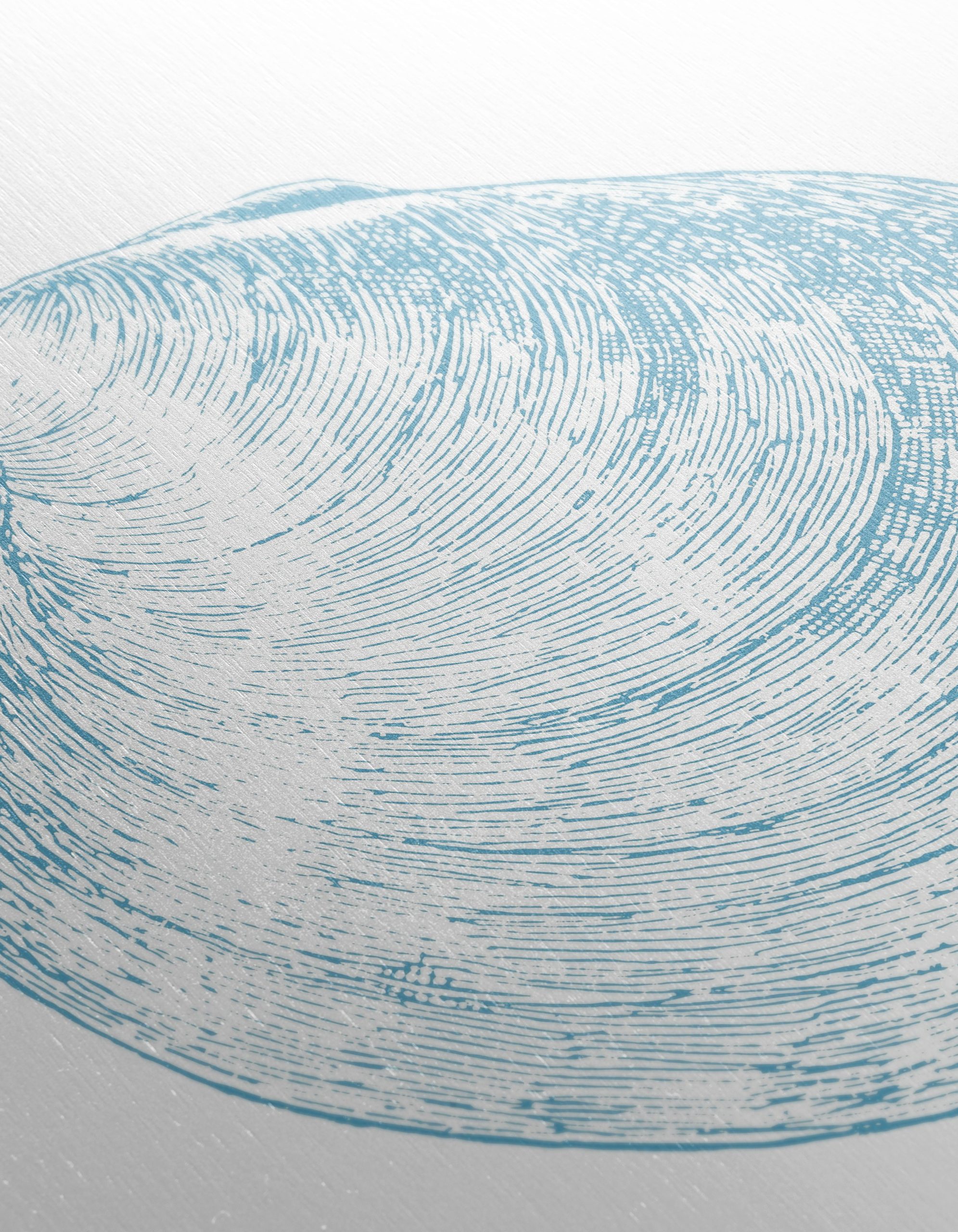 Stylized Abstract Sea Shell Art - Image 12