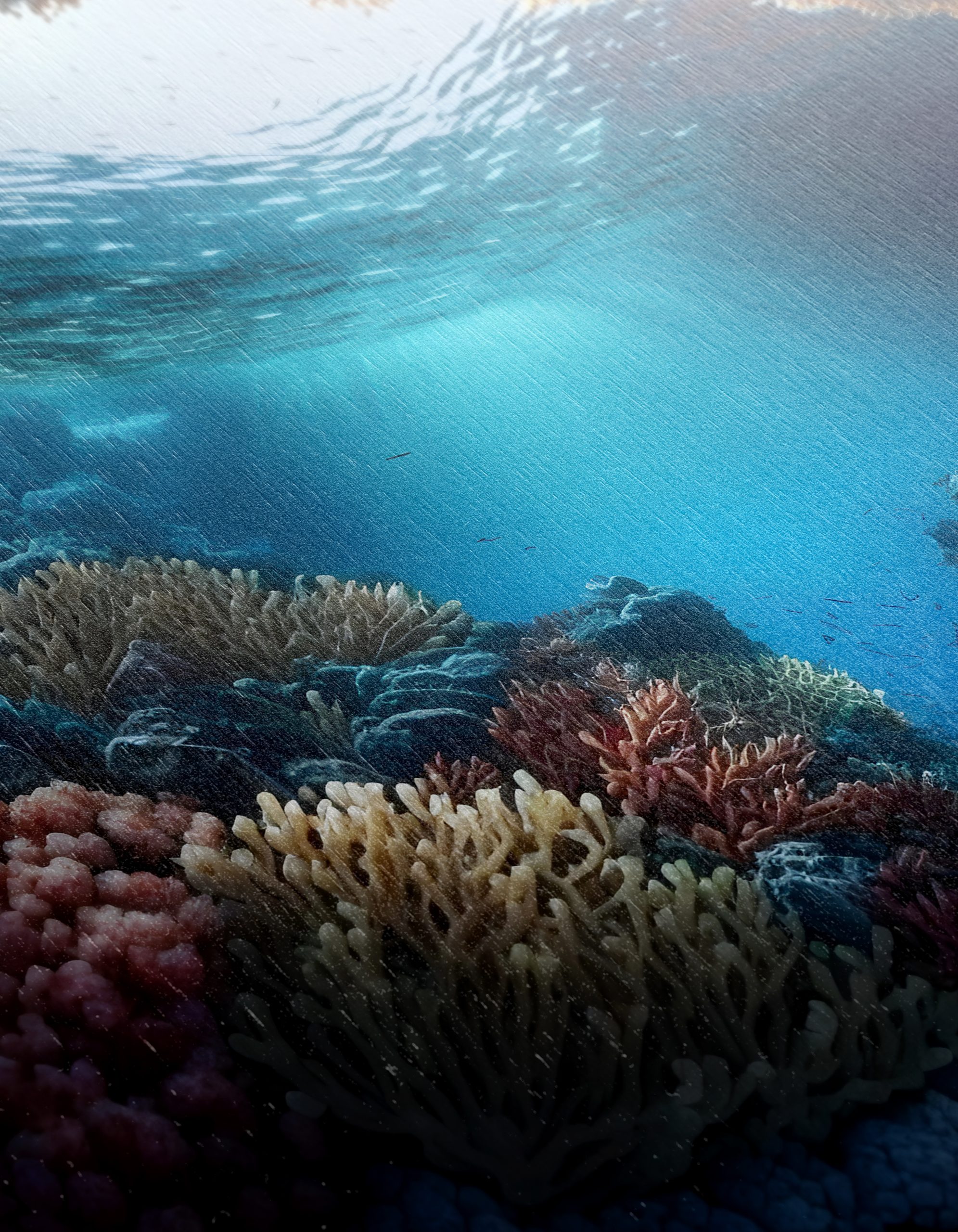 Stunning Abstract Marine Life Art for Ocean Lovers - Image 12