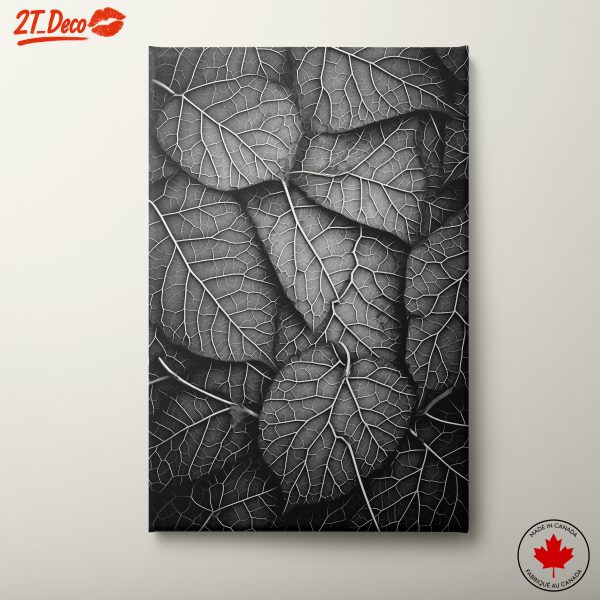 Intricate Black and White Botanical Leaf Art