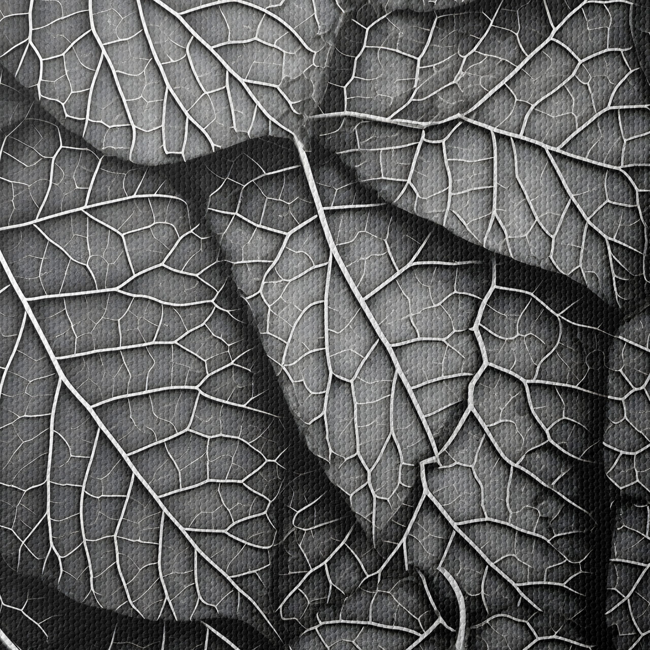 Intricate Black and White Botanical Leaf Art - Image 4