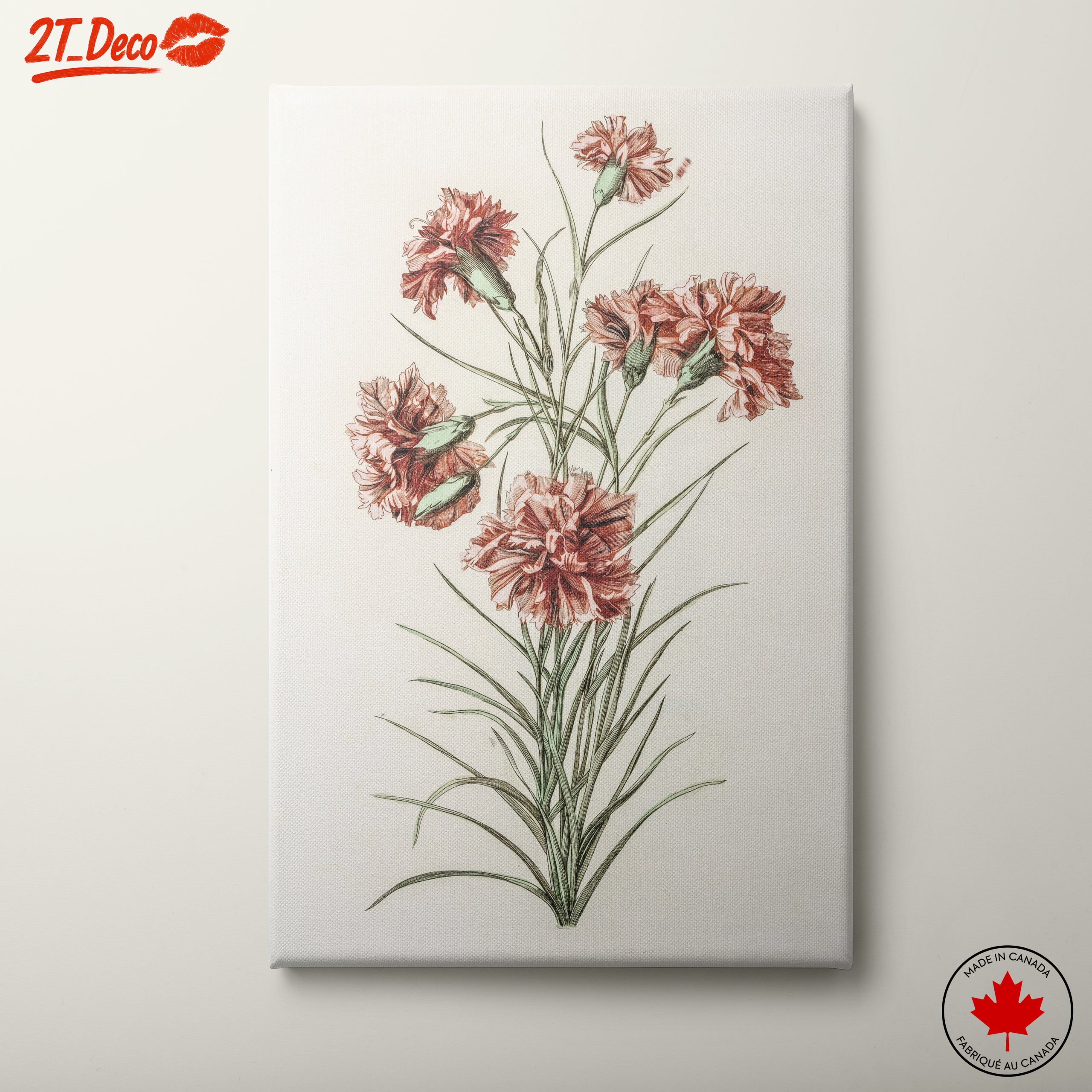 Beautiful Botanical Illustration of Carnations