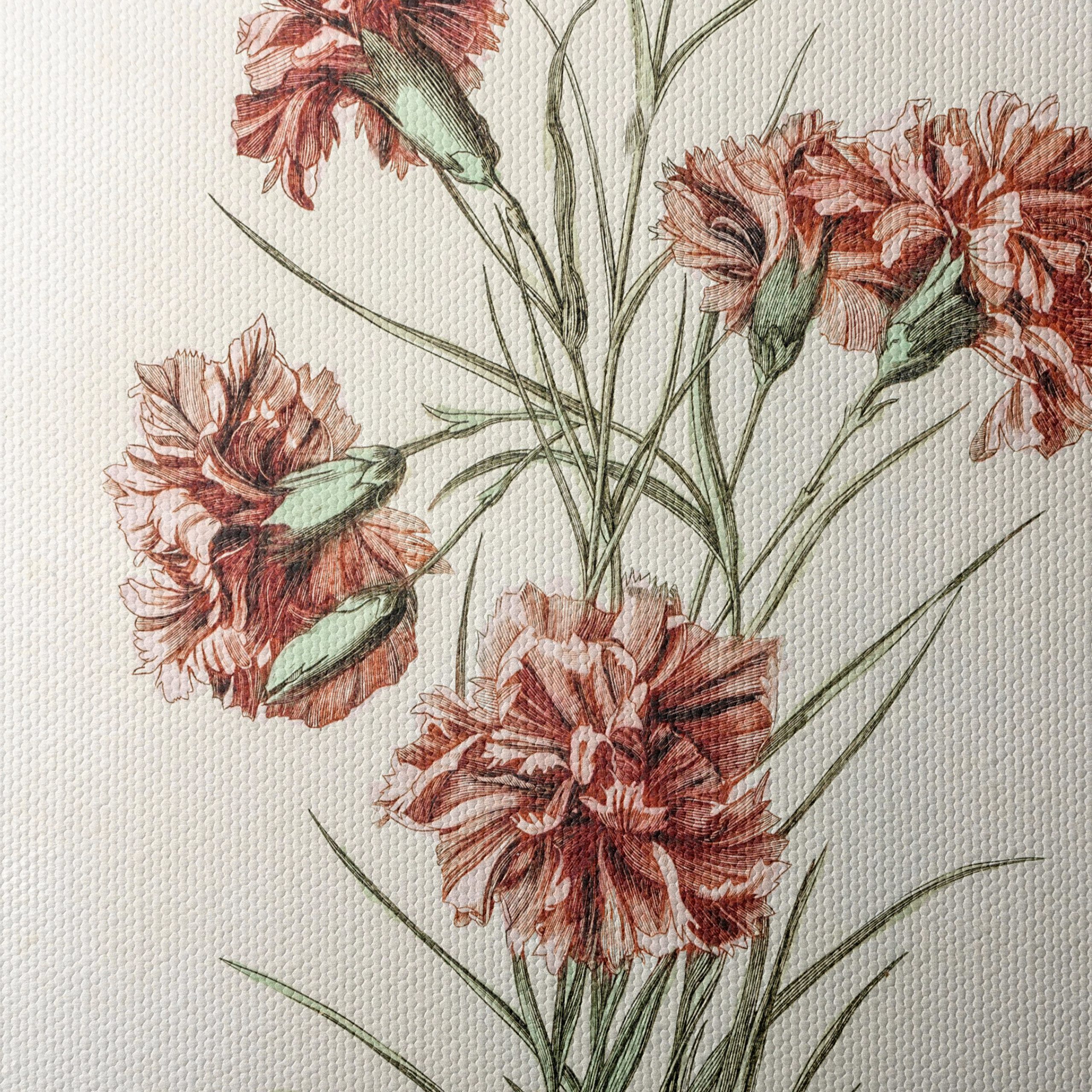 Beautiful Botanical Illustration of Carnations - Image 4