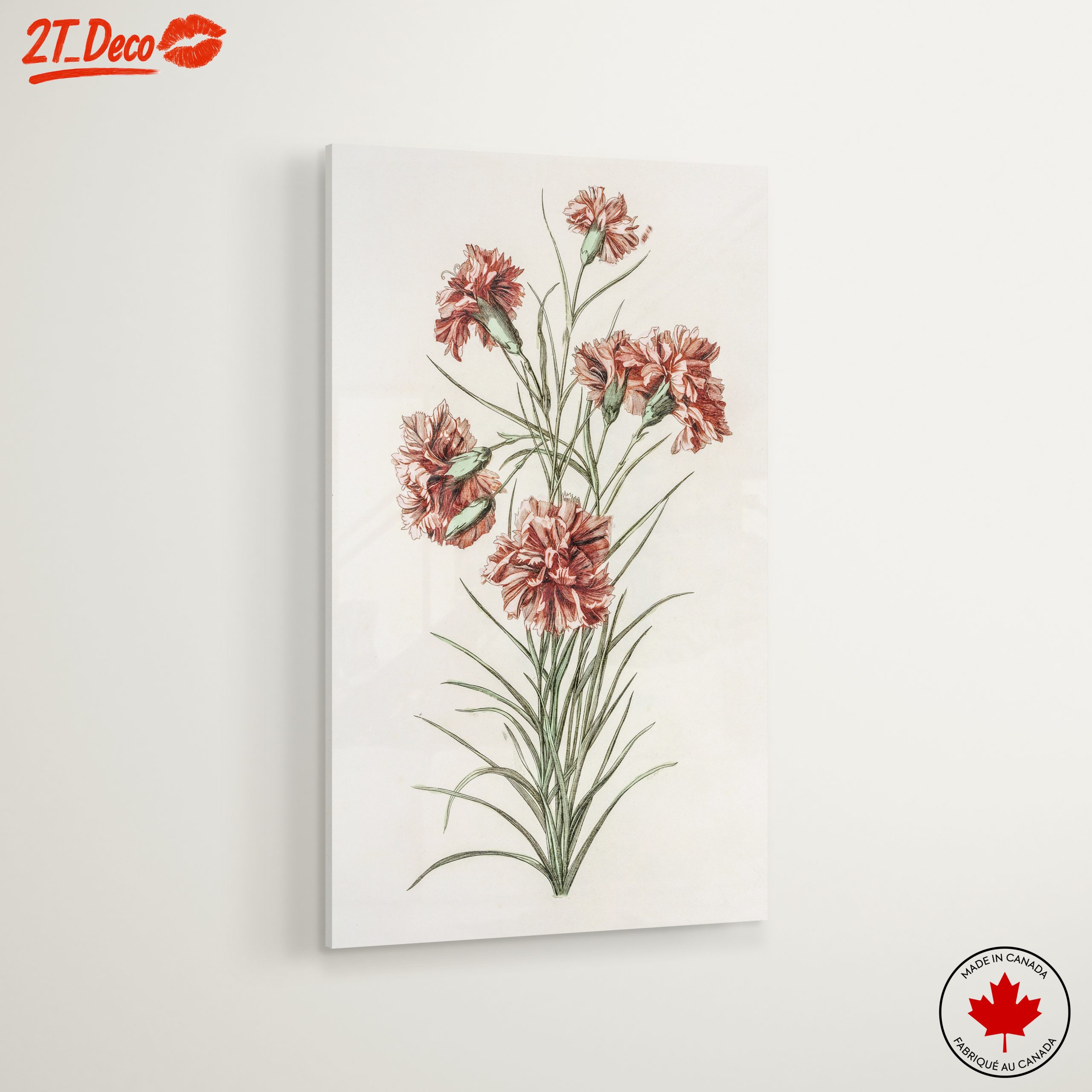 Beautiful Botanical Illustration of Carnations - Image 6