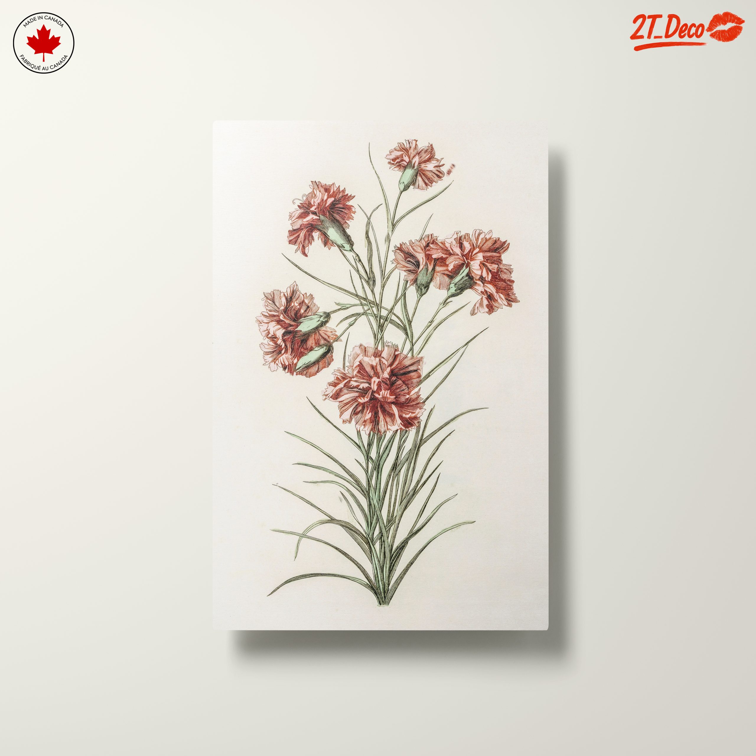 Beautiful Botanical Illustration of Carnations - Image 10
