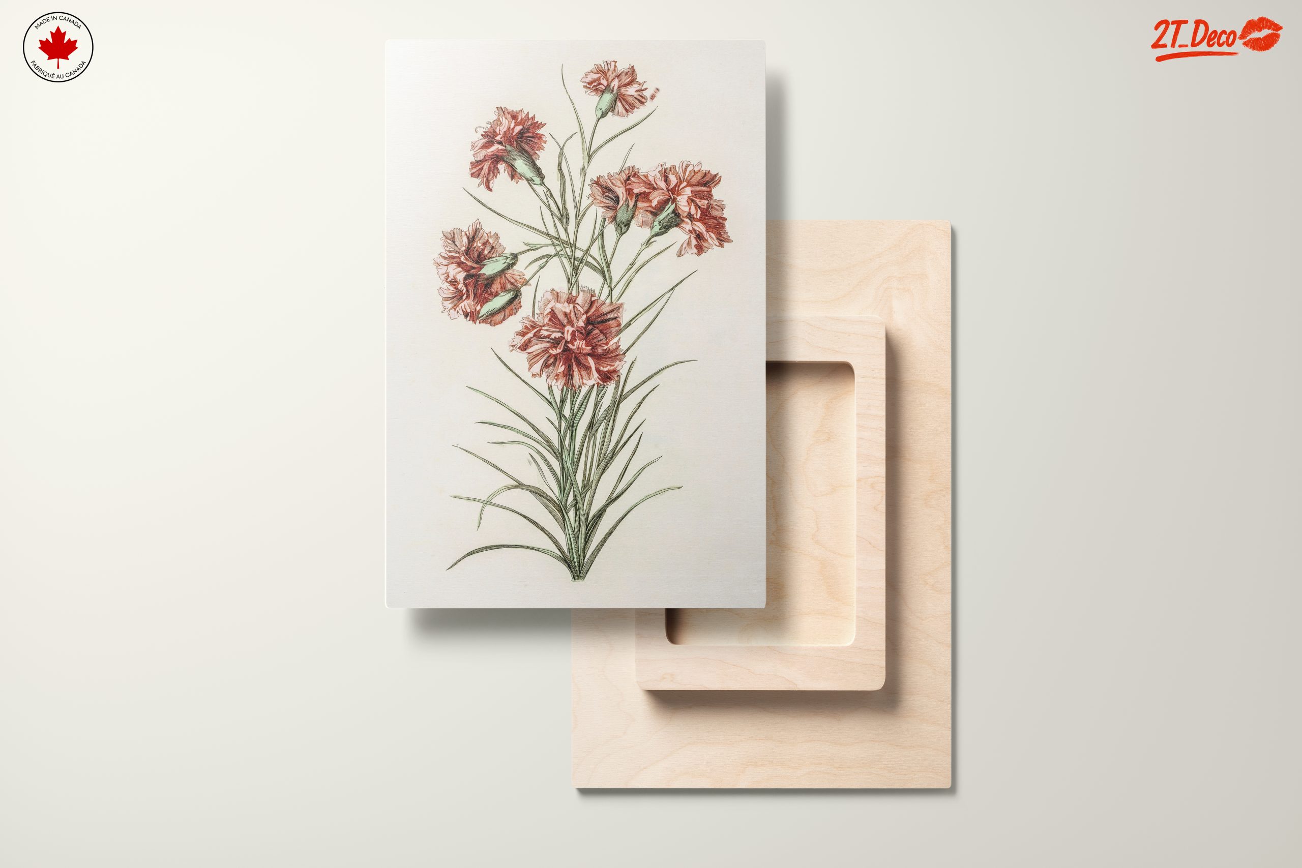 Beautiful Botanical Illustration of Carnations - Image 11