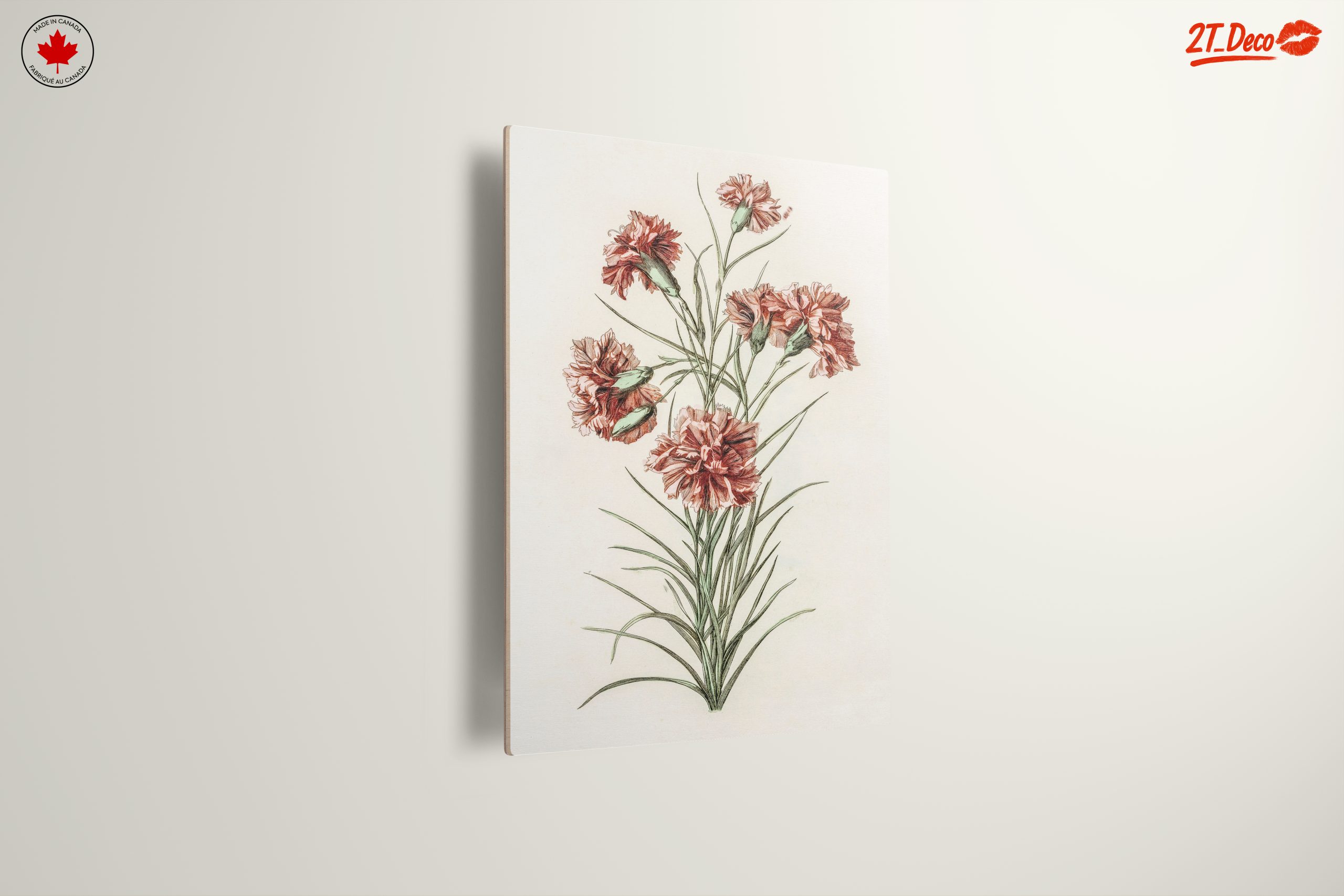 Beautiful Botanical Illustration of Carnations - Image 13