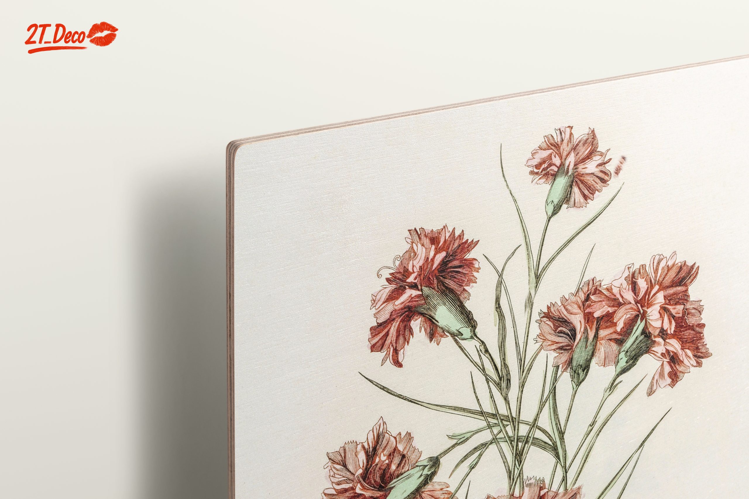 Beautiful Botanical Illustration of Carnations - Image 15