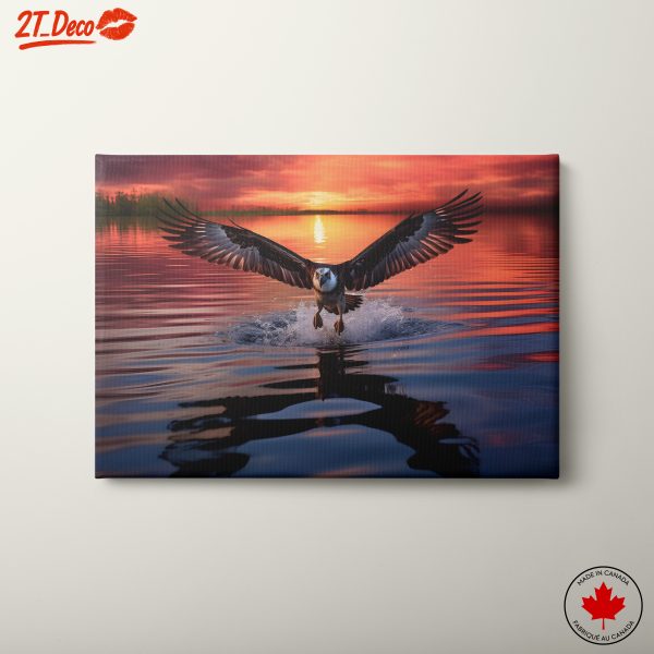 Eagle Taking Flight Over Sunset Waters