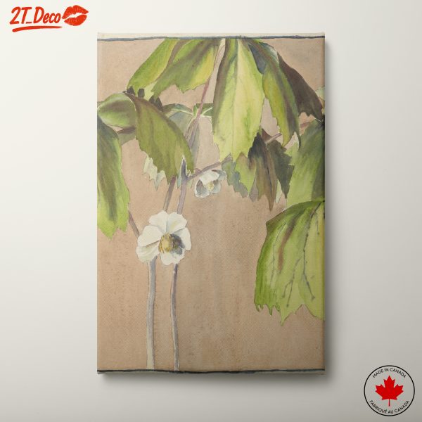 Delicate Botanical Watercolor Artwork