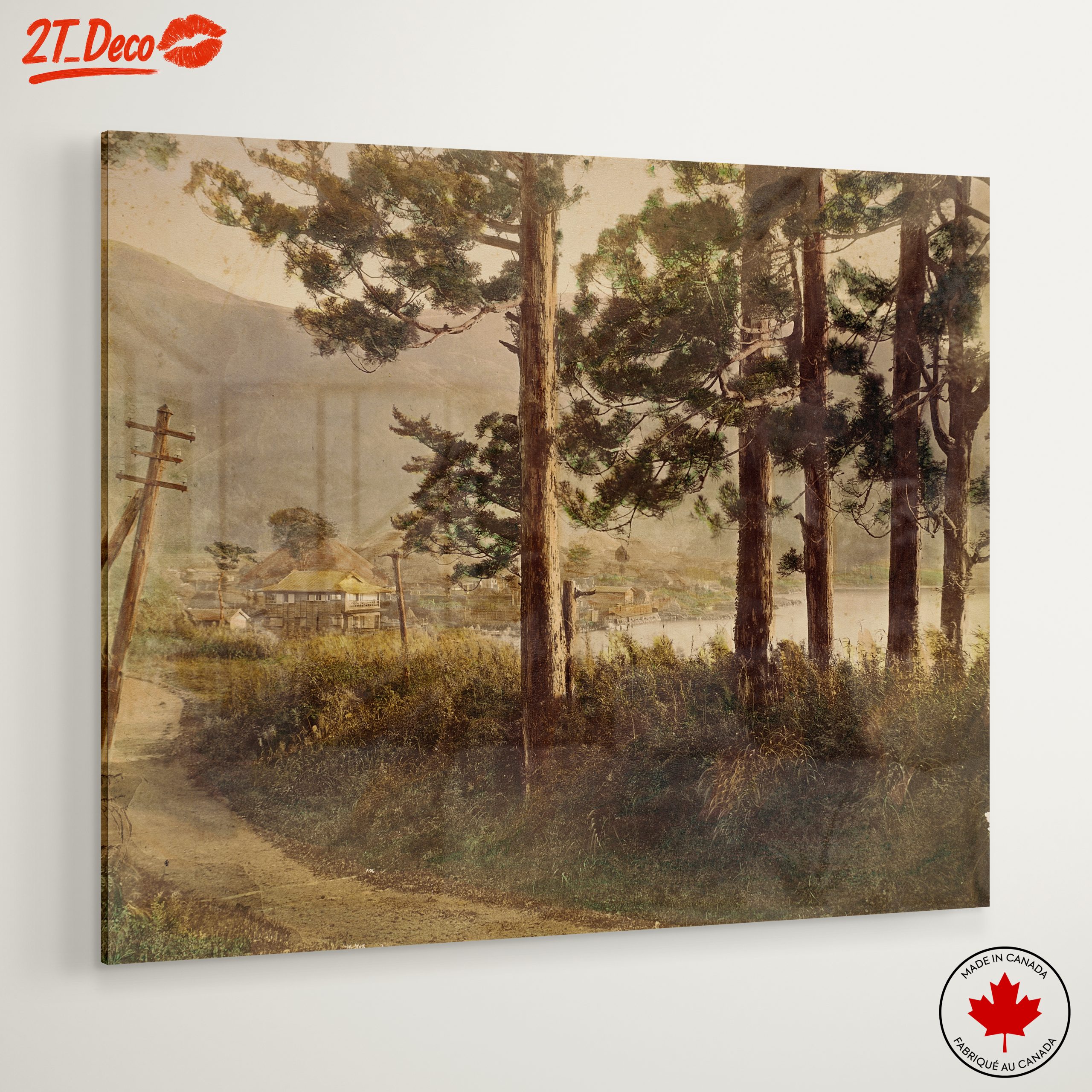 Serene Nature Landscape with Trees 3 - Image 6
