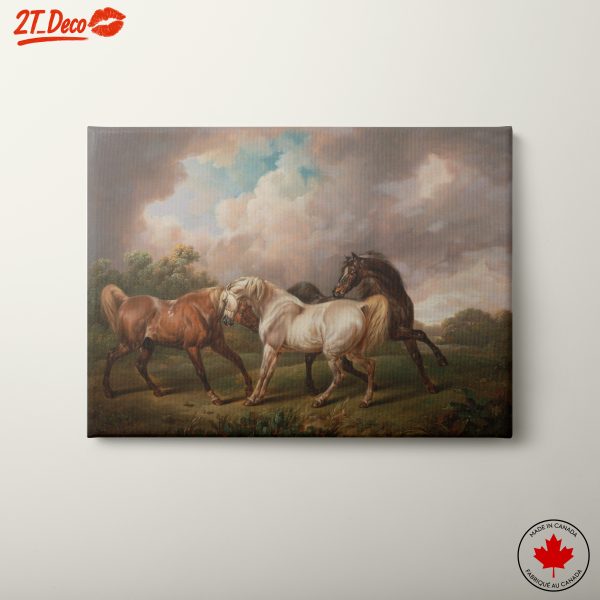 Majestic Horses in Action
