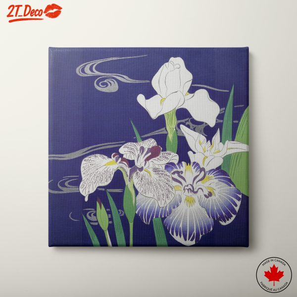 Elegant Botanical Art of Irises