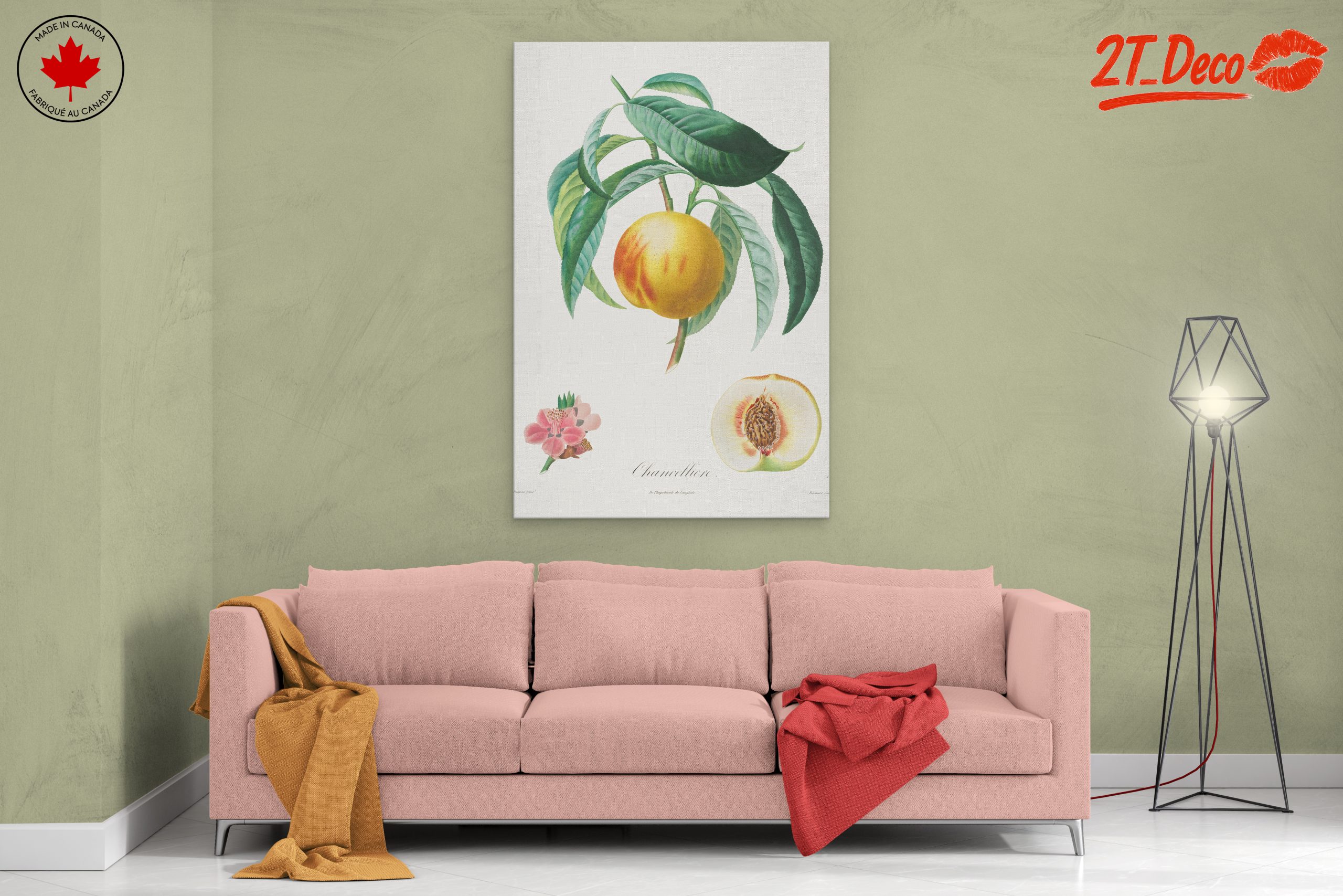 Charming Botanical Illustration of a Peach Tree - Image 2