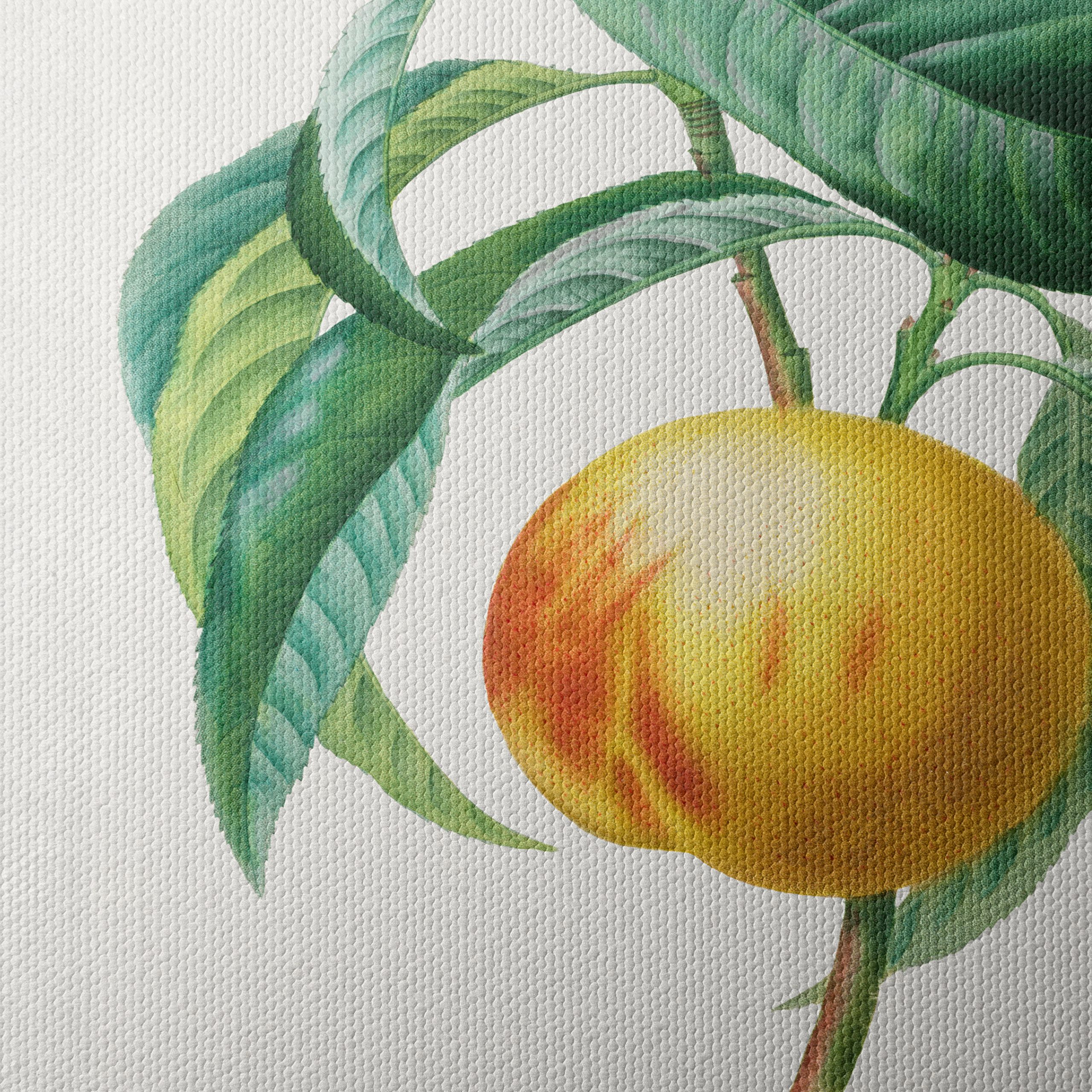 Charming Botanical Illustration of a Peach Tree - Image 4