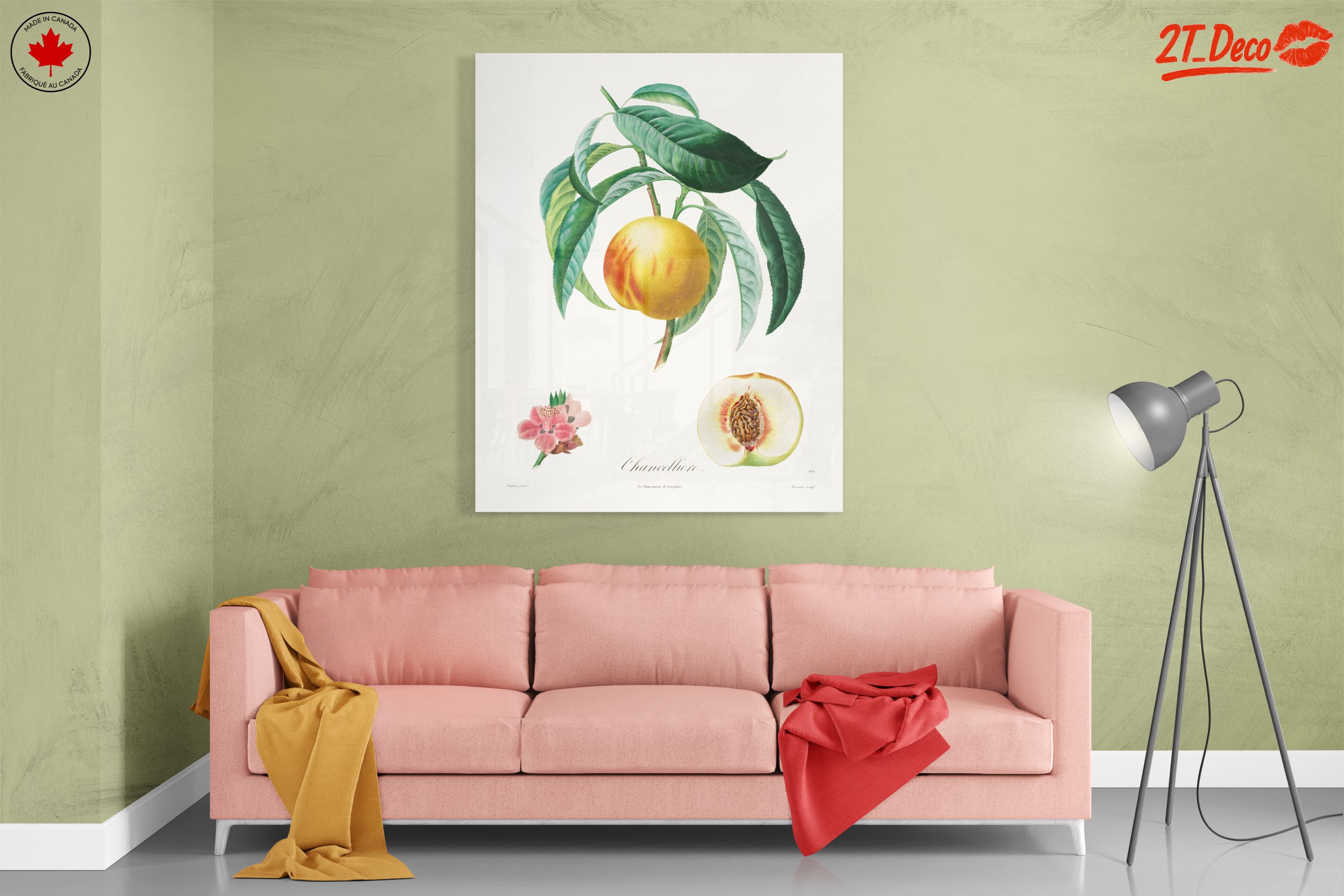 Charming Botanical Illustration of a Peach Tree - Image 7