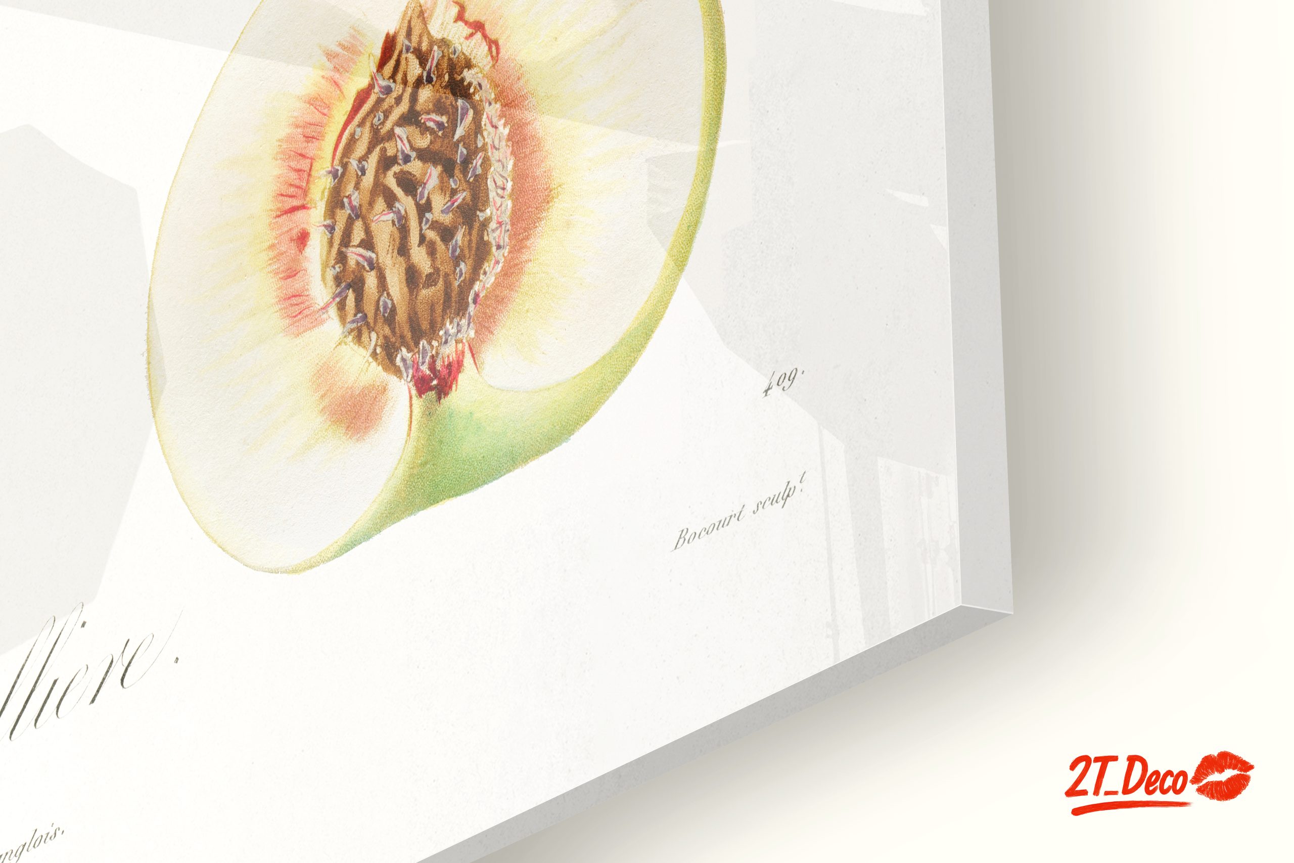 Charming Botanical Illustration of a Peach Tree - Image 9