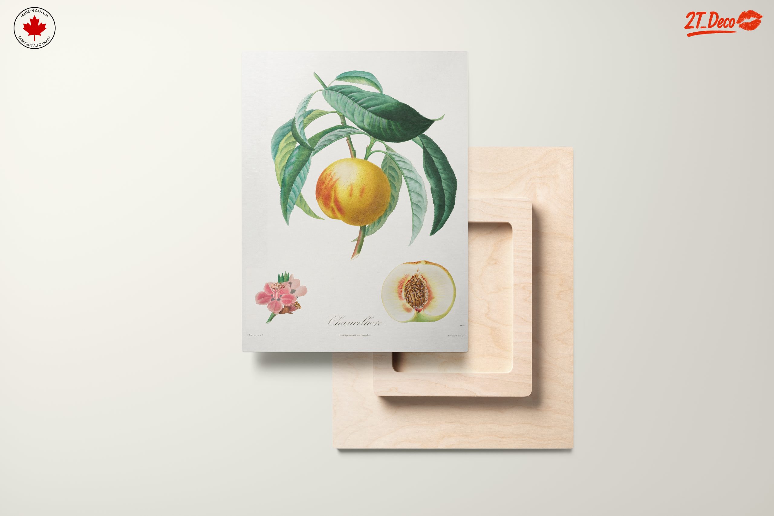 Charming Botanical Illustration of a Peach Tree - Image 11