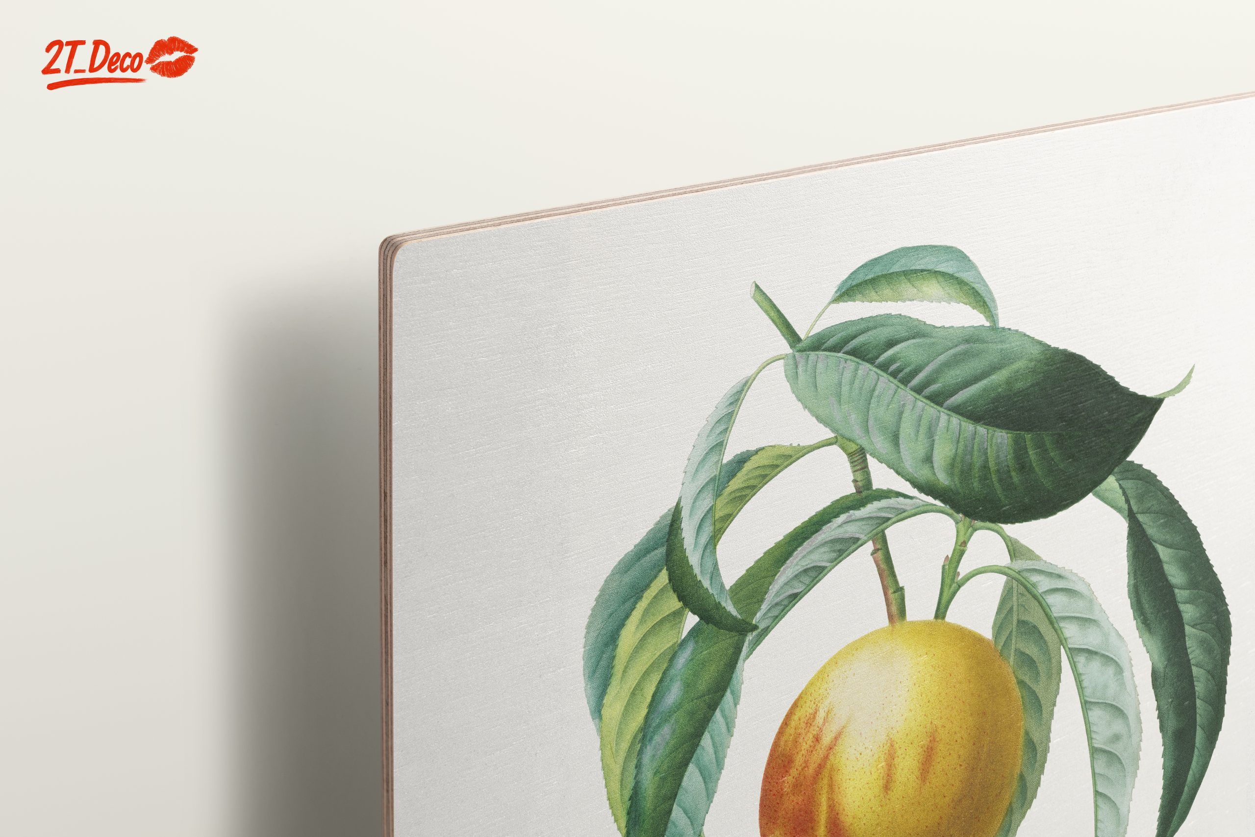 Charming Botanical Illustration of a Peach Tree - Image 15