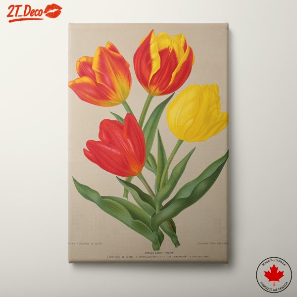 Vibrant Tulip Bouquet Artwork