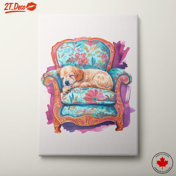 Cozy Sleeping Dog on Colorful Couch