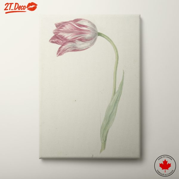 Delicate Botanical Tulip Artwork