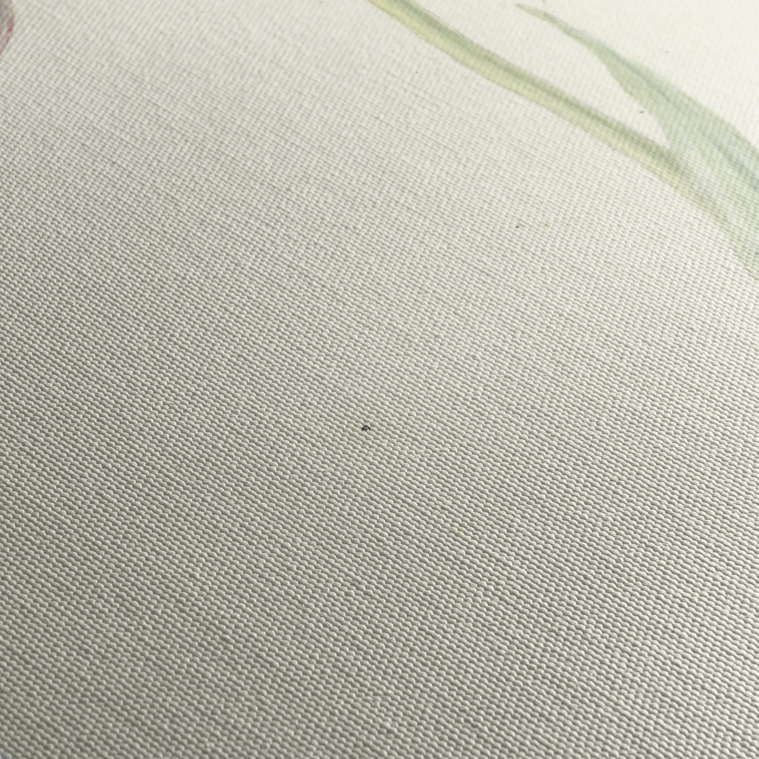 Delicate Botanical Tulip Artwork - Image 5