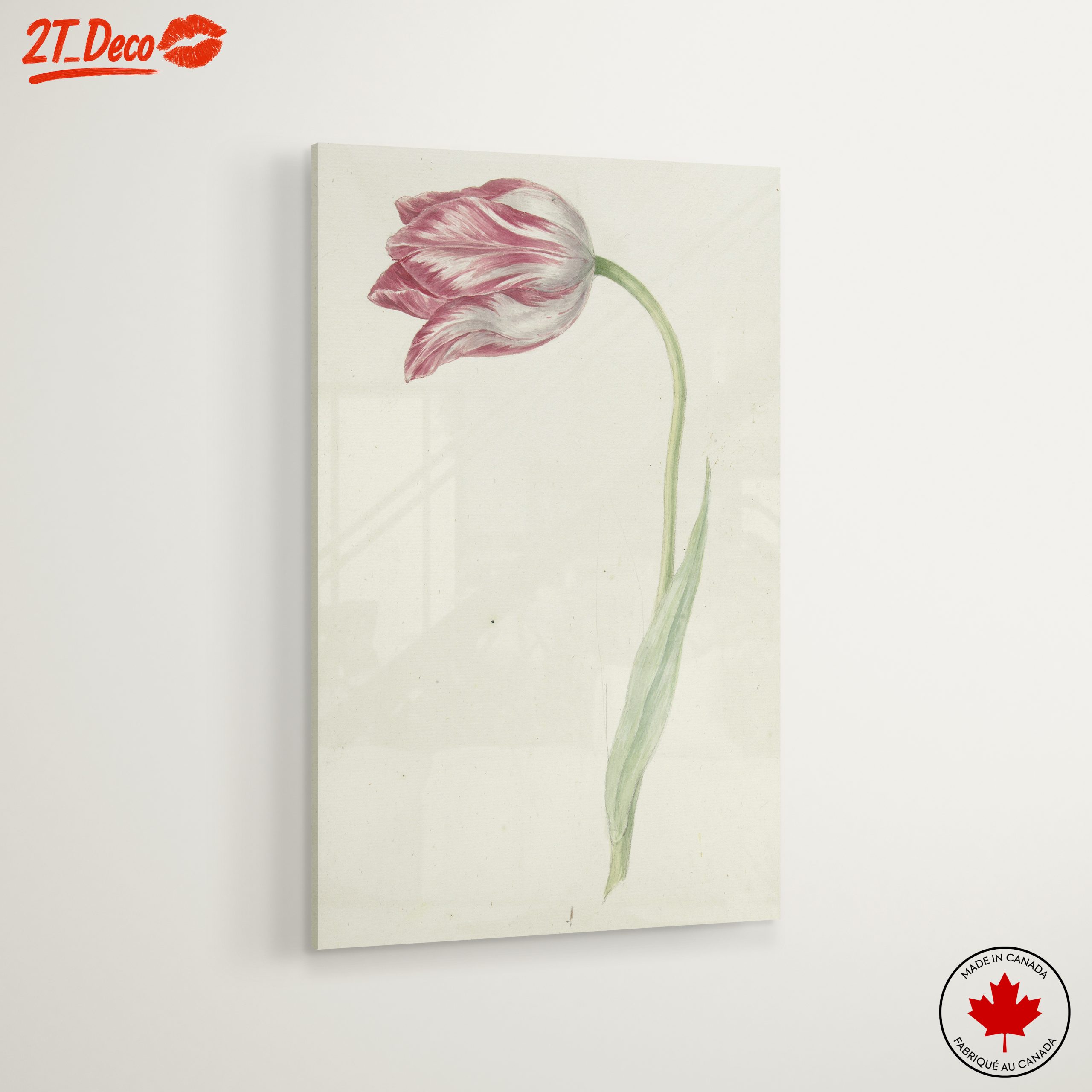 Delicate Botanical Tulip Artwork - Image 6