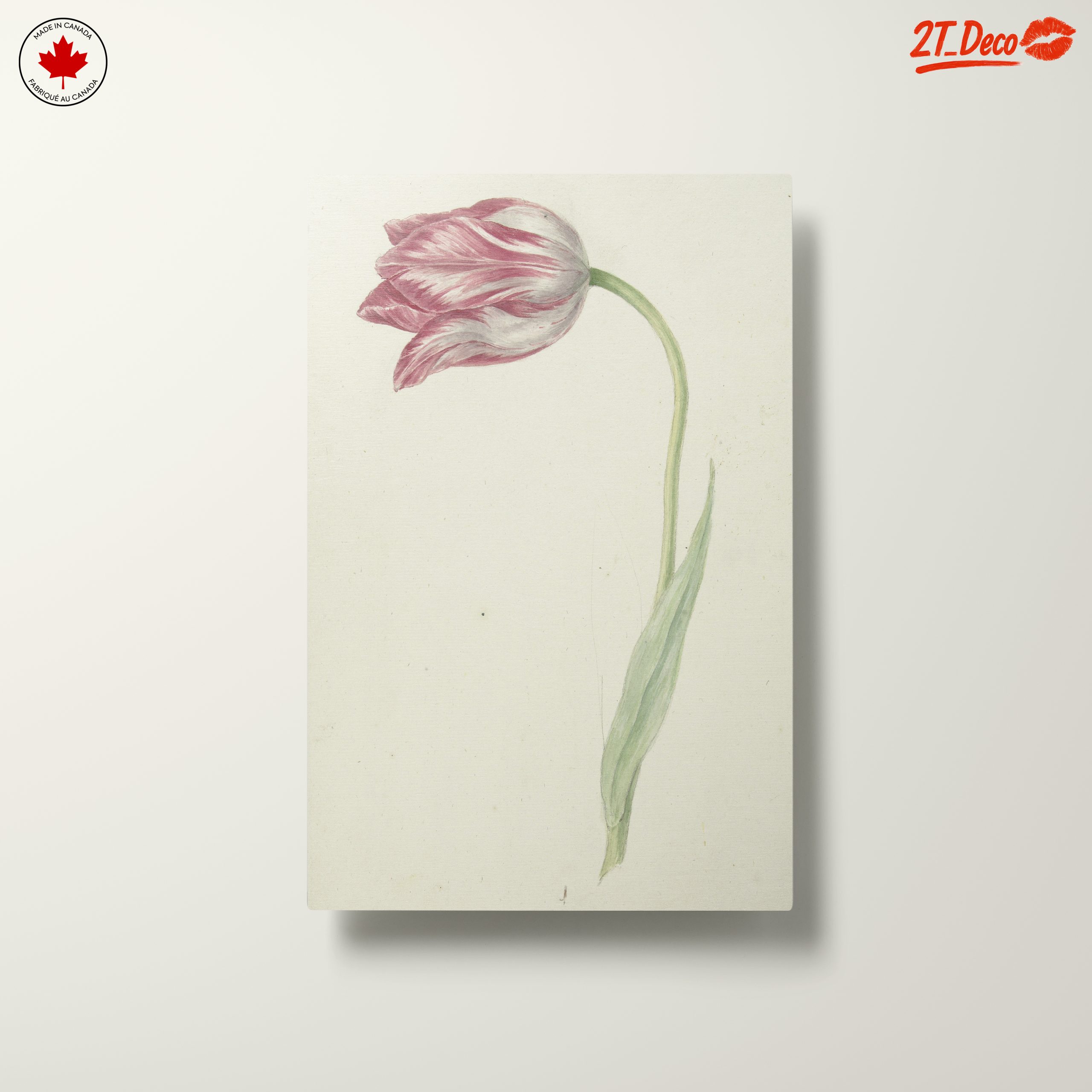 Delicate Botanical Tulip Artwork - Image 10