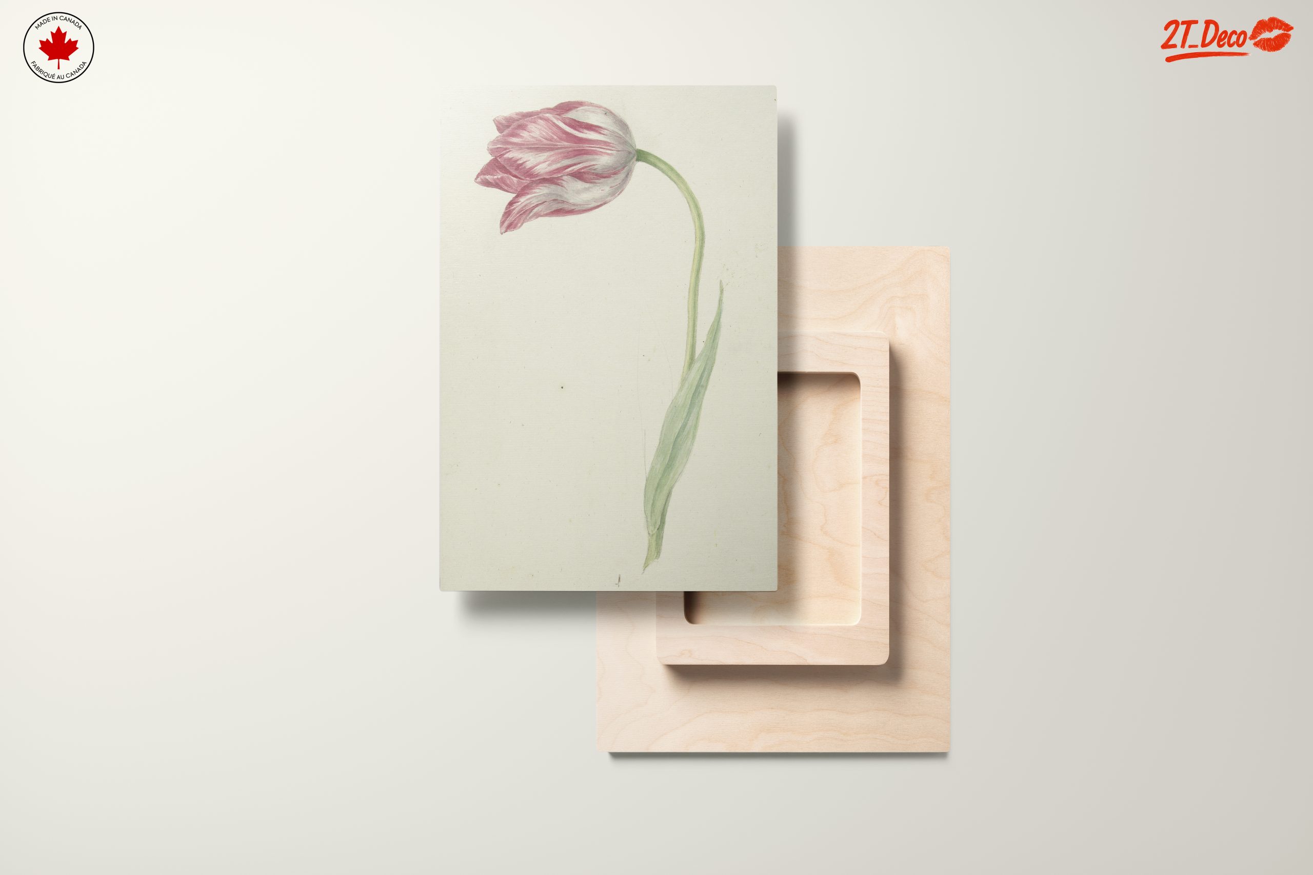 Delicate Botanical Tulip Artwork - Image 11