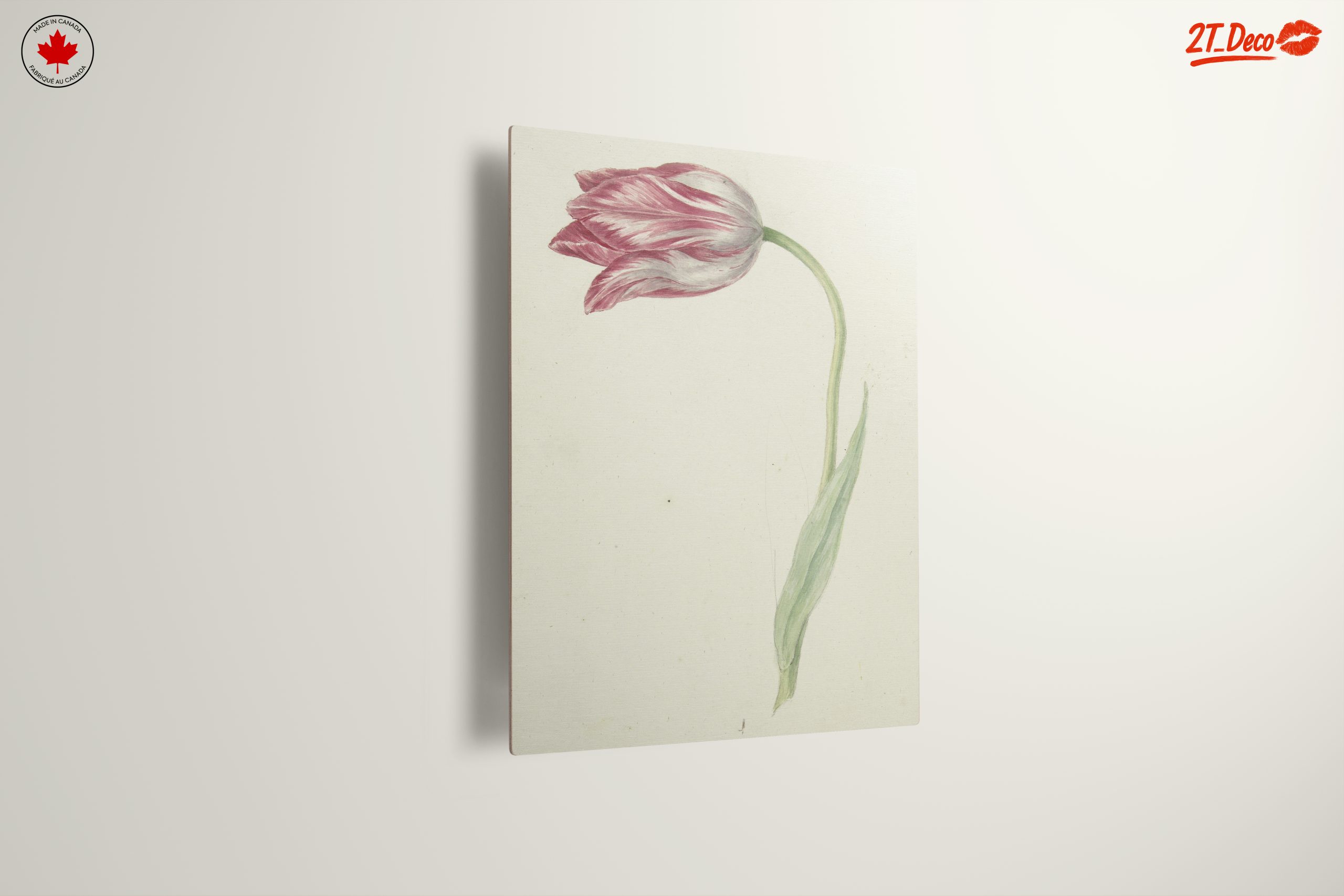 Delicate Botanical Tulip Artwork - Image 13