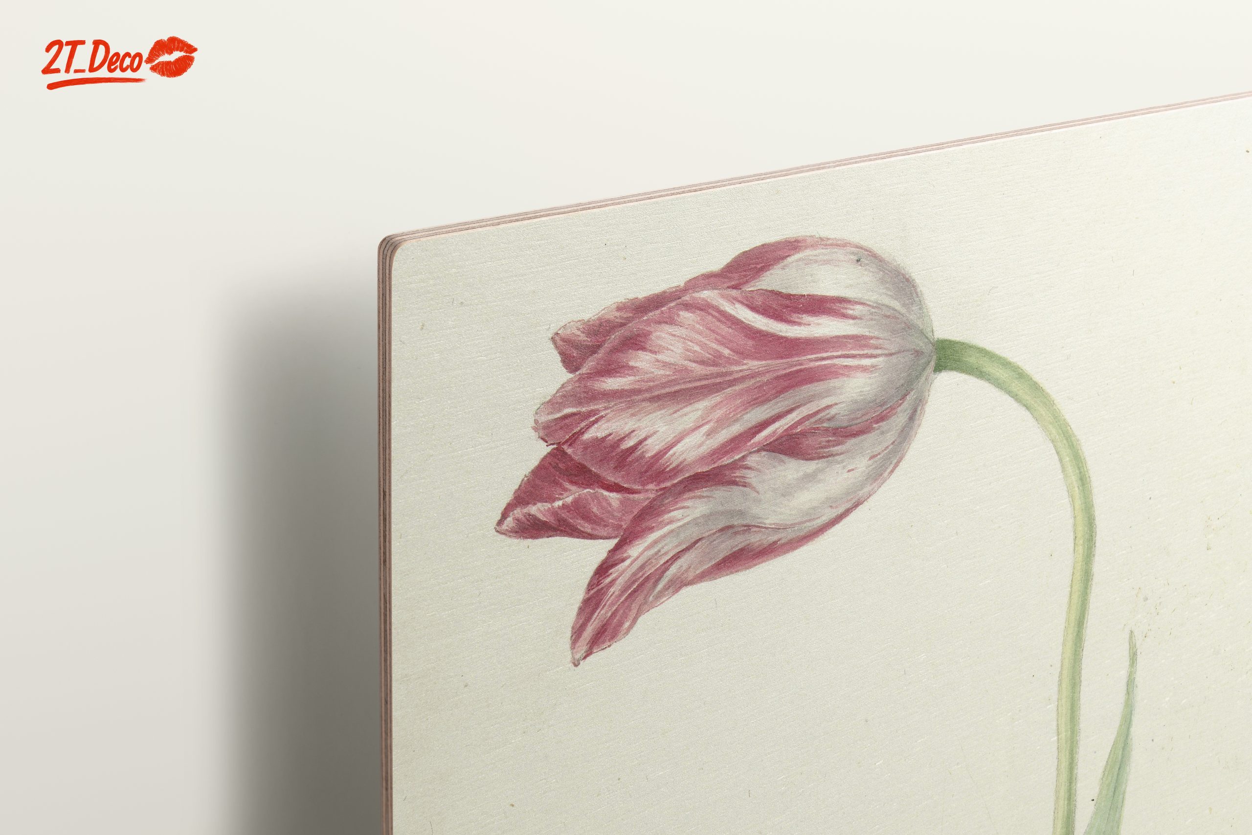 Delicate Botanical Tulip Artwork - Image 15