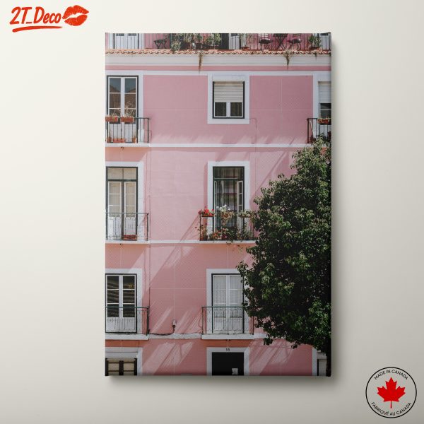 Contemporary Architectural Decoration with Pink Facade