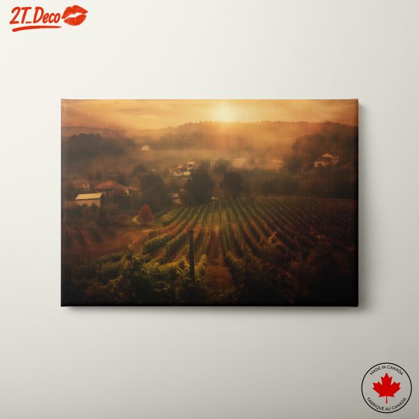 Vineyard Landscape Under Golden Sunset