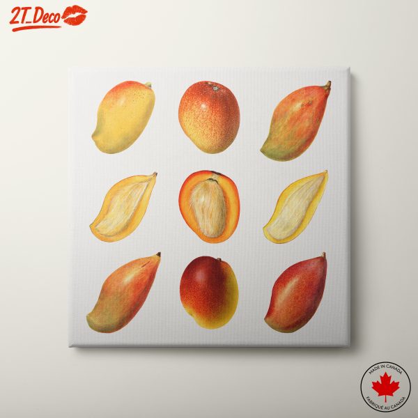 Abstract Representation of Mangoes