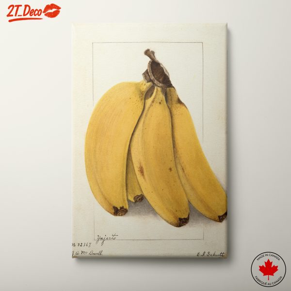 Stylized Bananas Abstract Food Art