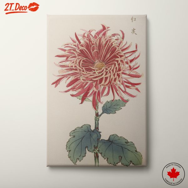 Red Chrysanthemum Botanical Art