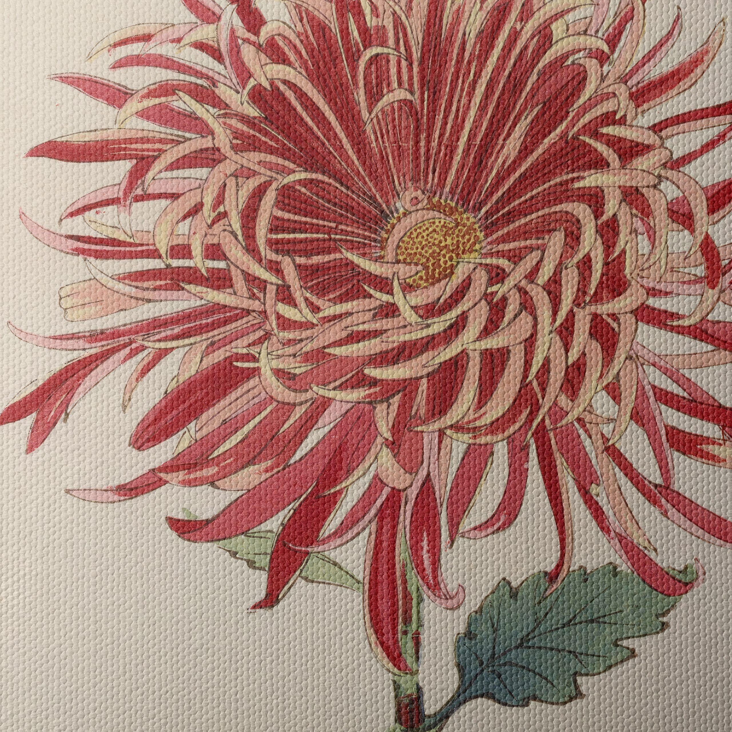 Red Chrysanthemum Botanical Art - Image 4