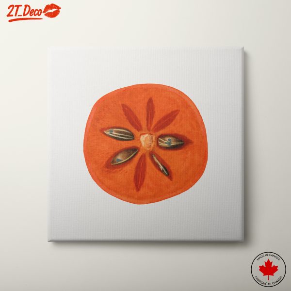 Vibrant Abstract Tomato Slice Art