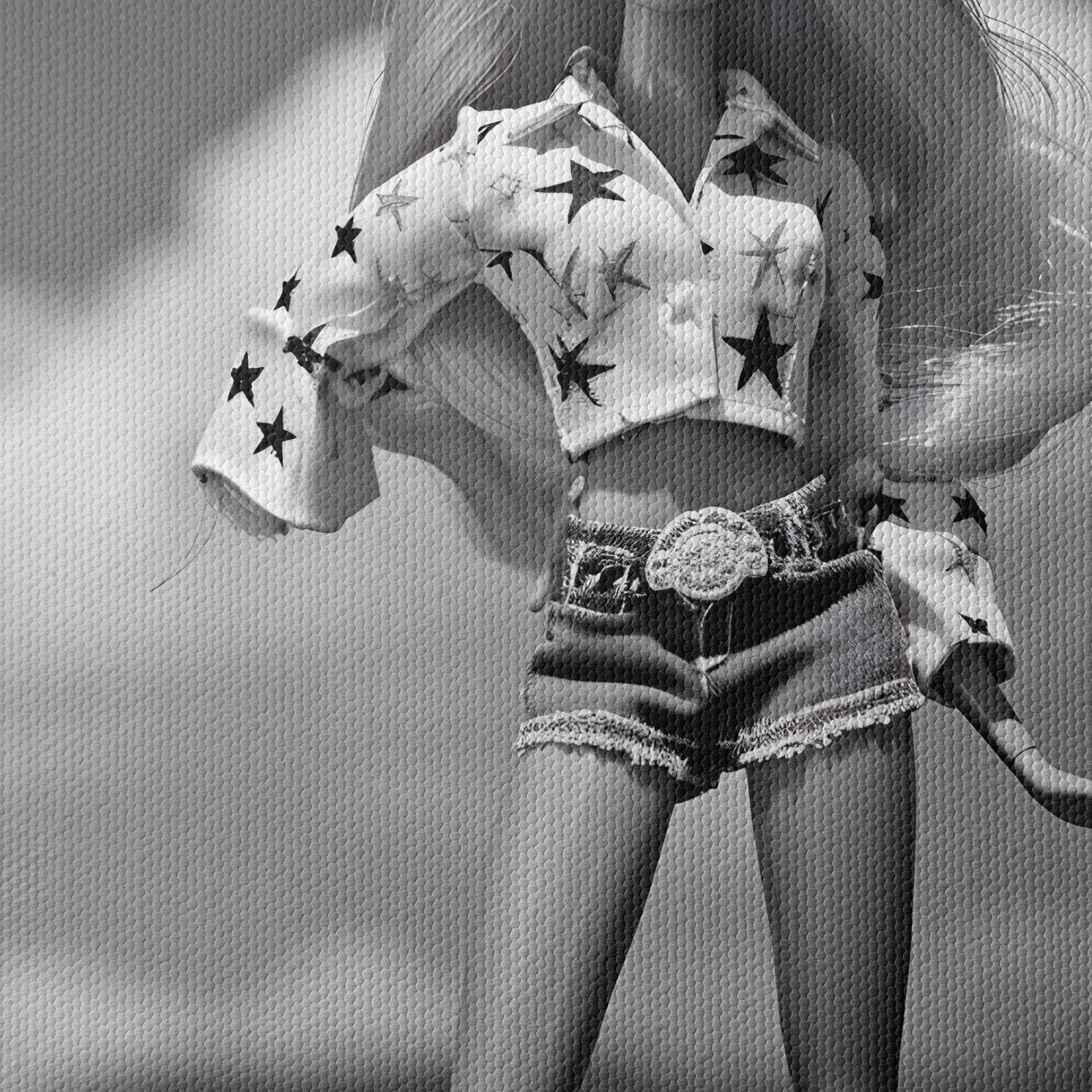 Stylish Cowgirl Figure in Black and White - Image 4