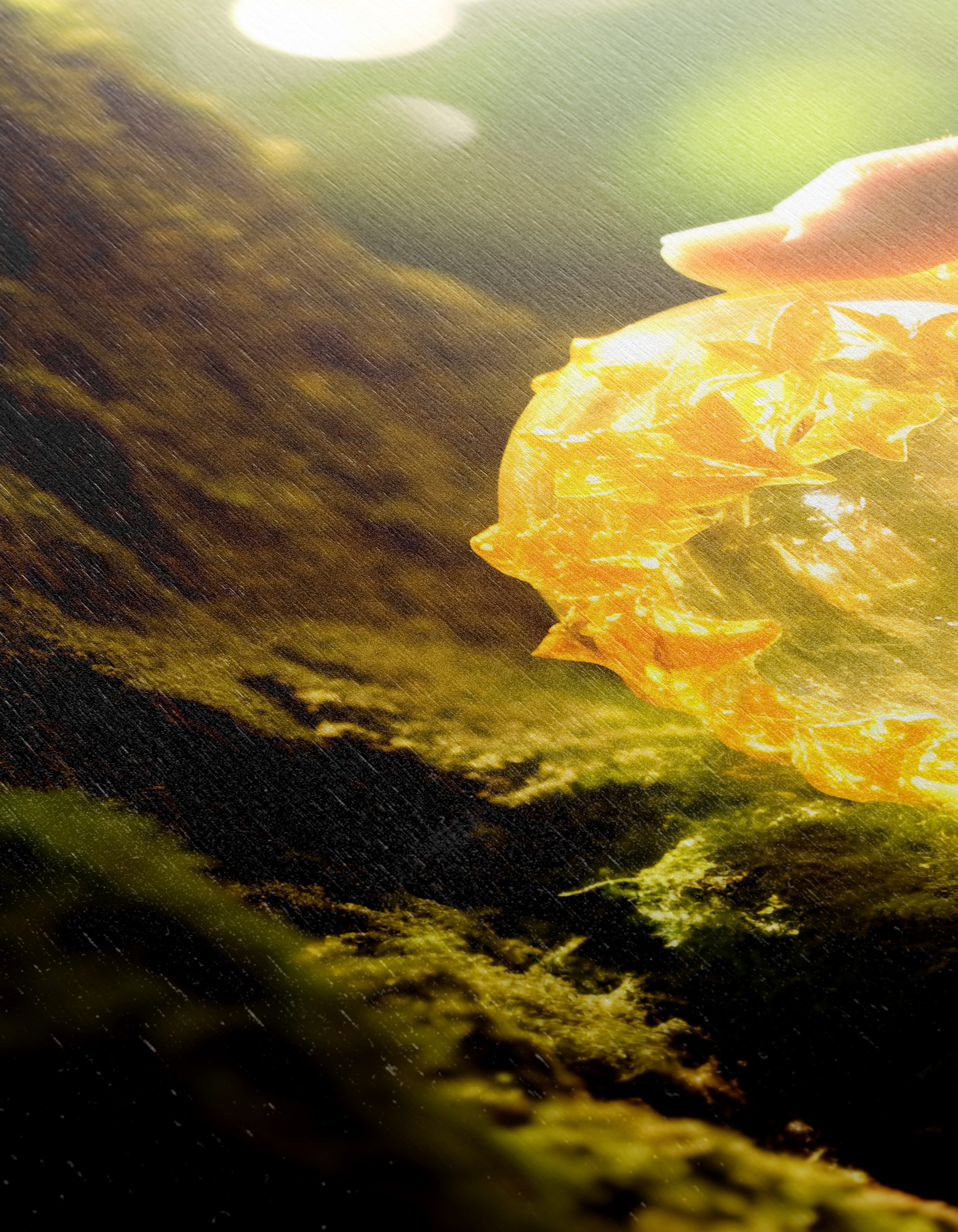 Glowing Orb in Lush Greenery - Image 12