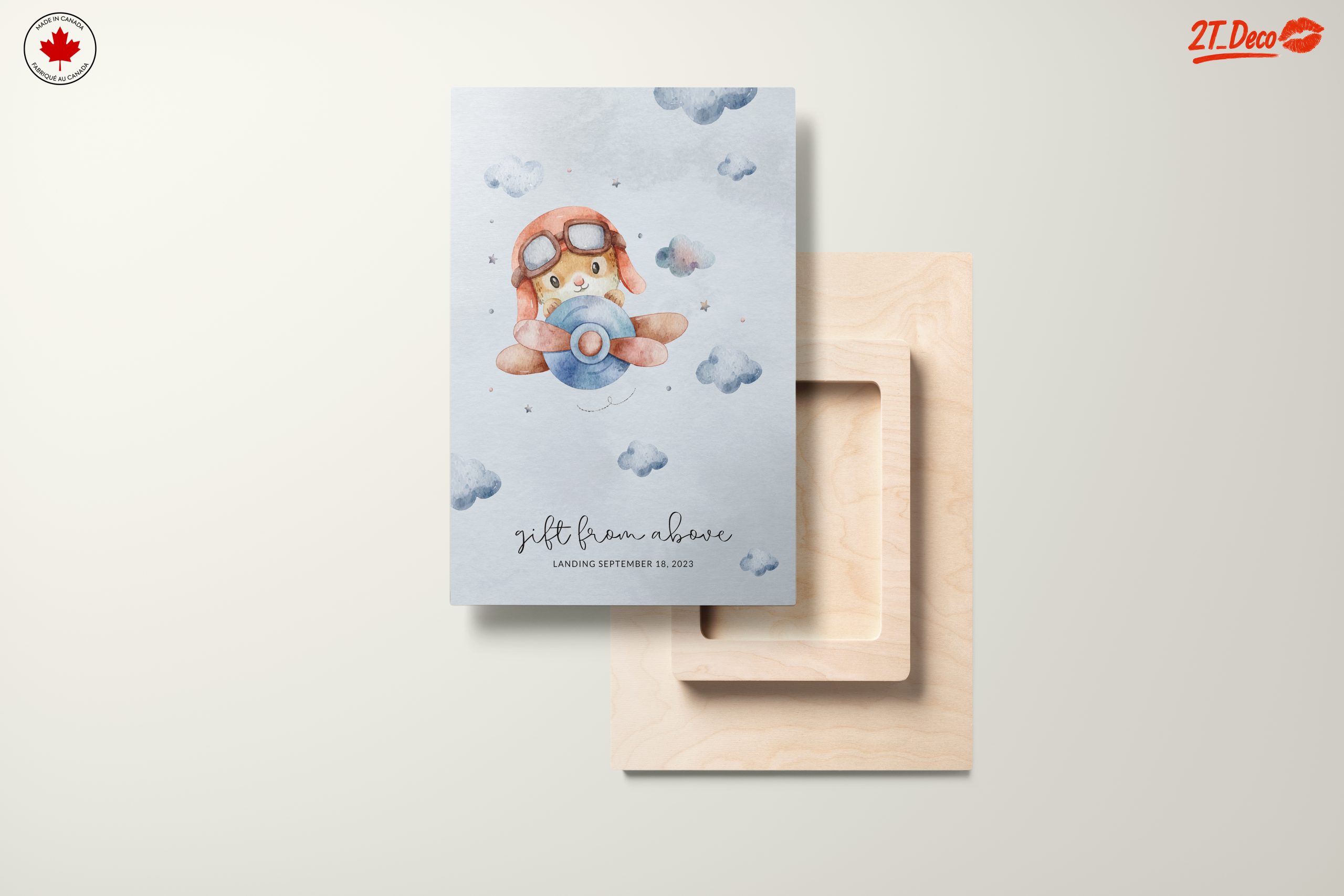 Cute Playful Animal Artwork with Clouds - Image 11