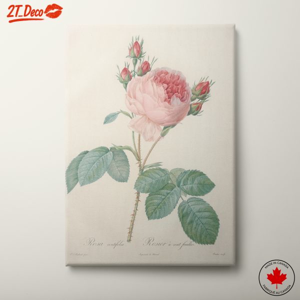 Delicate Floral Botanical Art Print