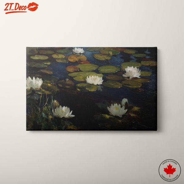 Water Lilies in Tranquil Waters