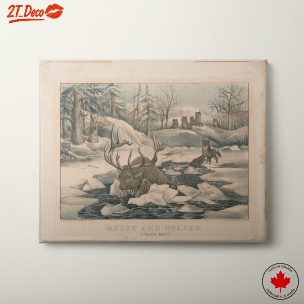 Moose and Wolves in Winter Scene