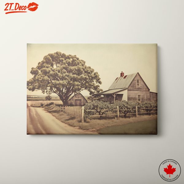Serene Rural Landscape with Tree and Barn