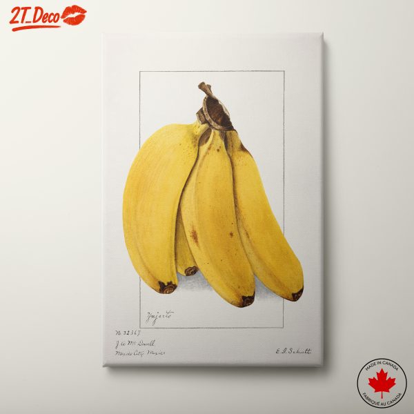 Banana Still Life Art