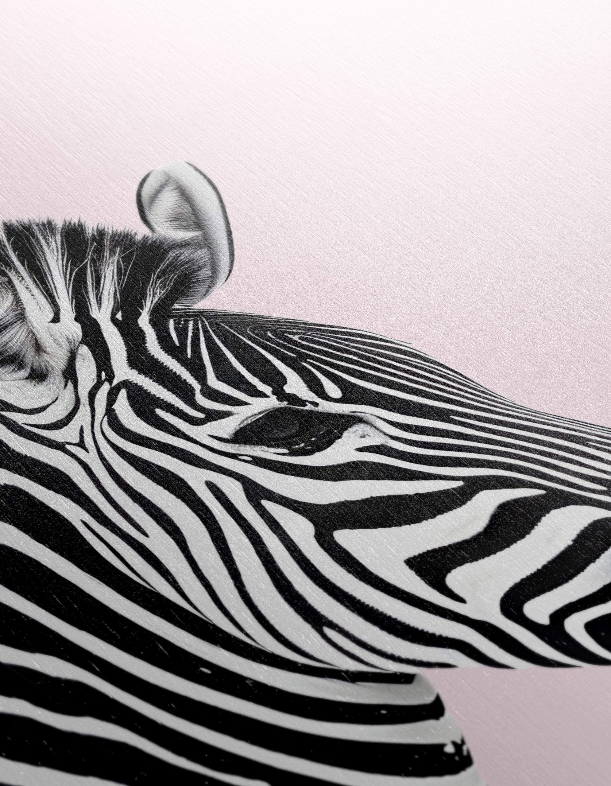 Zebra Blowing Bubble Gum Art - Image 12